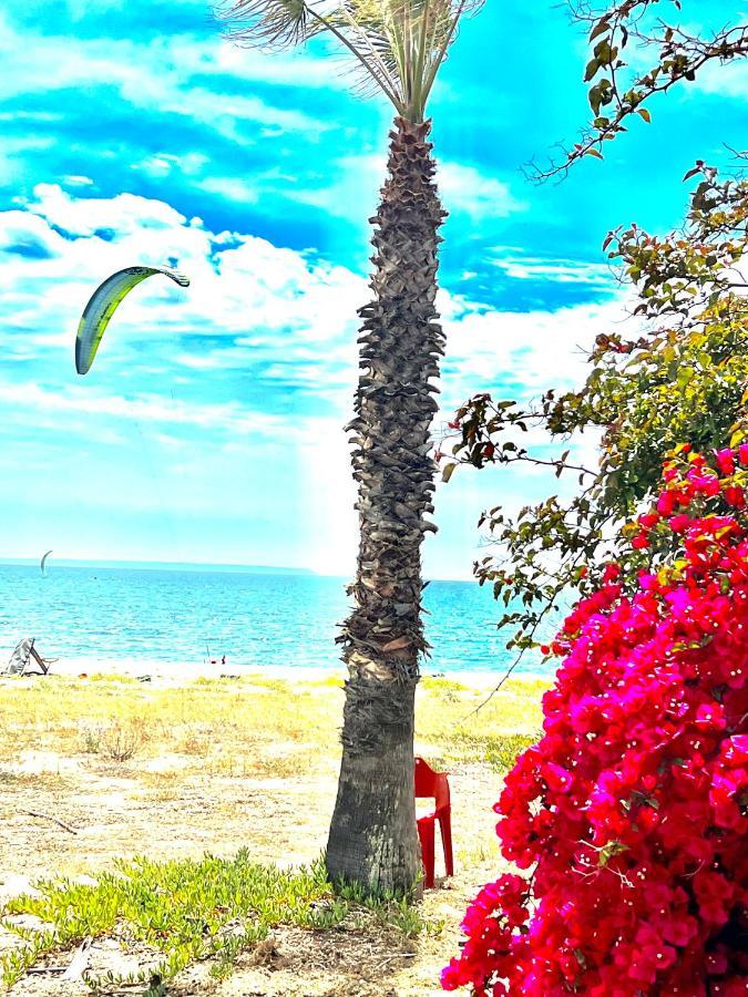 Windsurf Beach Front Torre Grande Buitenkant foto